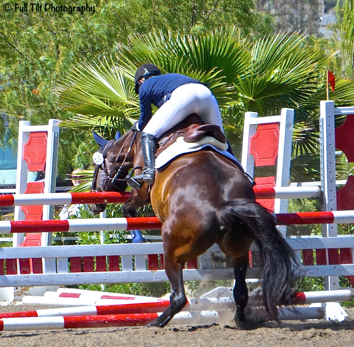 How to Best Handle Refusals and Runouts at Jumps