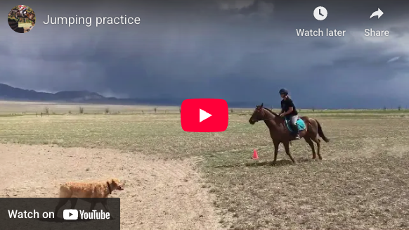 Video # 318: This is Kayla, trying out a fun jumping exercise!