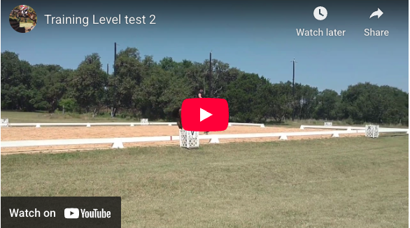 Video # 98: This is Kayla and her coming 6 year old TB mare riding Training level test 2