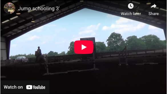 Video # 75: This is Jen again, schooling at home!