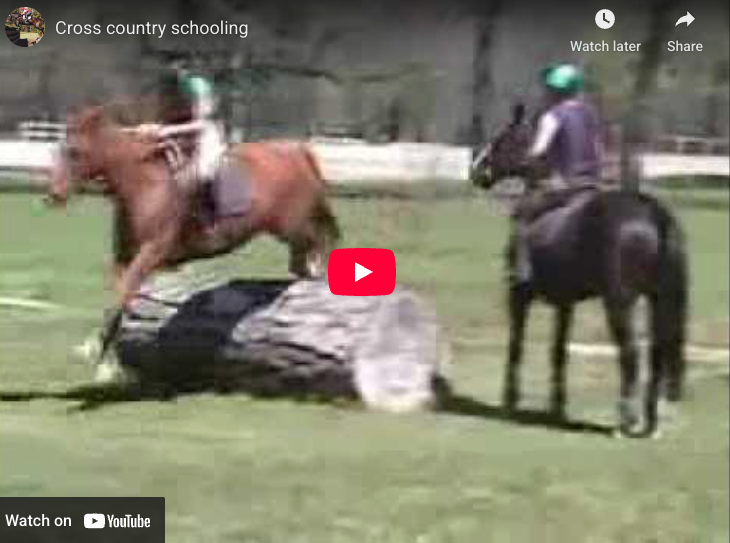 Video # 56: This is Taren schooling cross country!