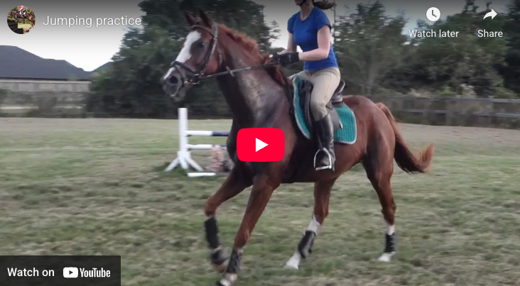 Video # 95: This is Krista and her horse Sparky!