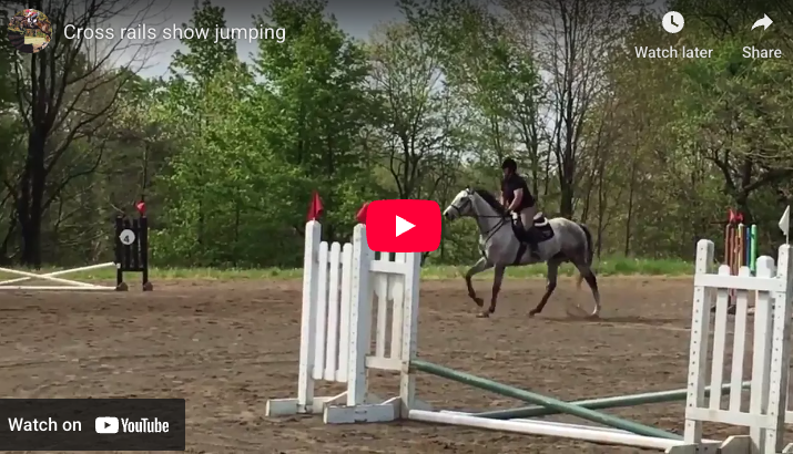 Video # 90: This is Vita and her newly off the track TB!