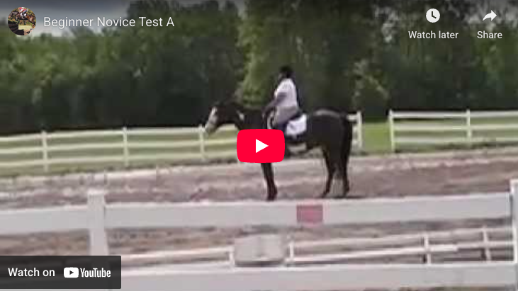 Video # 38: This is Vita and PJ doing their Beginner Novice Dressage Test!