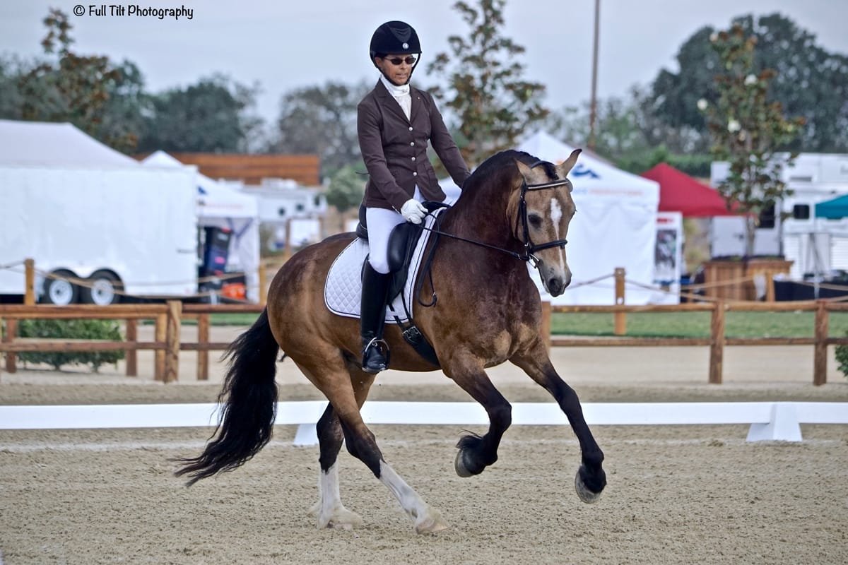 Dressage Canter Adjustability Exercise # 2