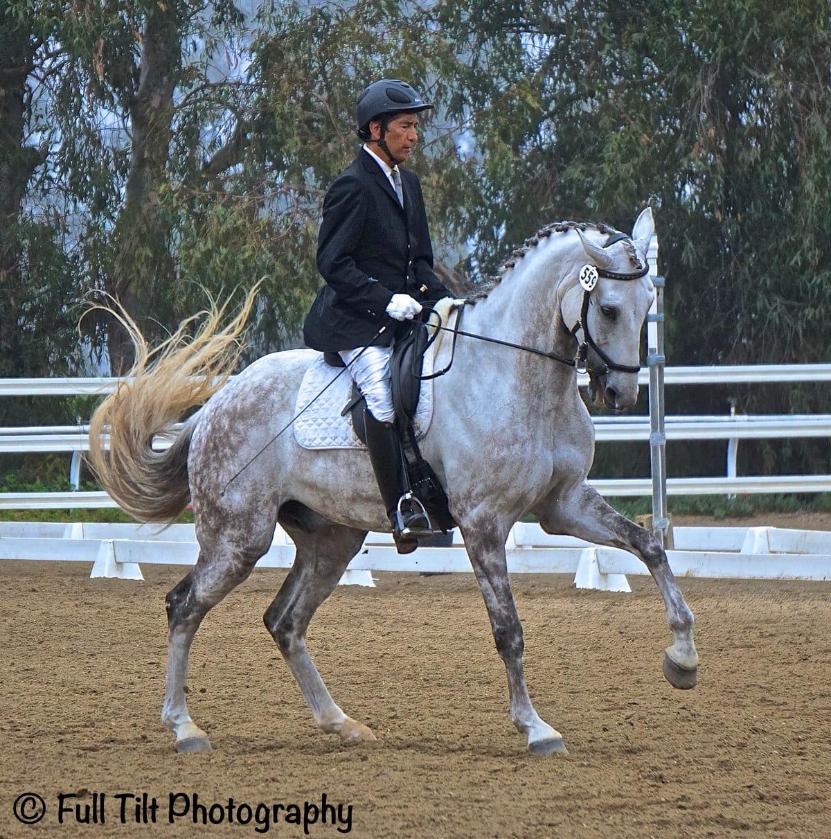 Introducing the Counter Canter