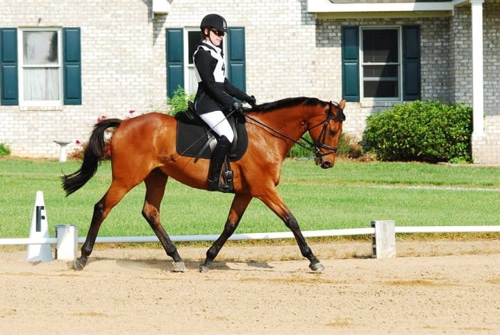 Are You a Decisive Rider?