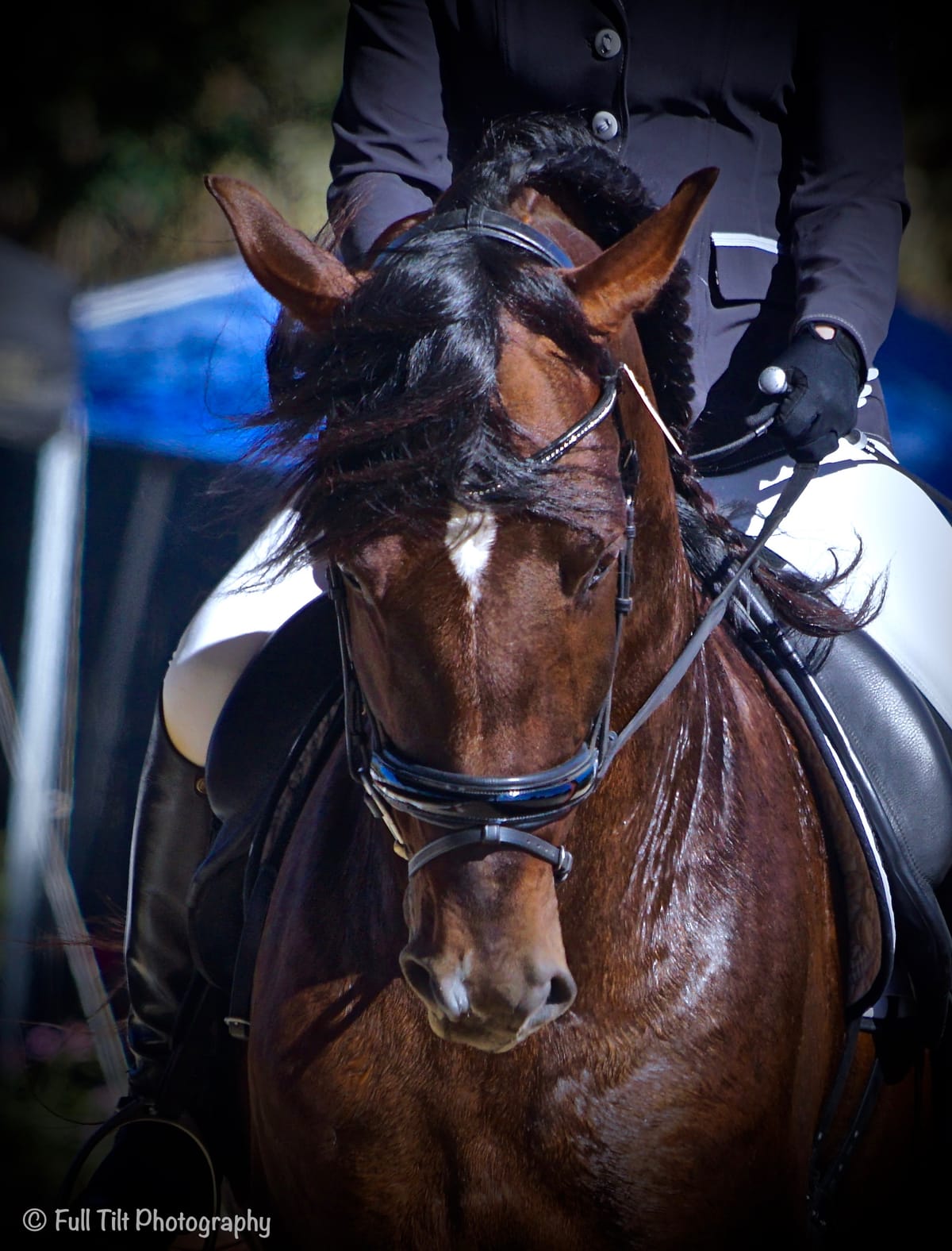 Clashing of Aids vs the Coordination of Aids