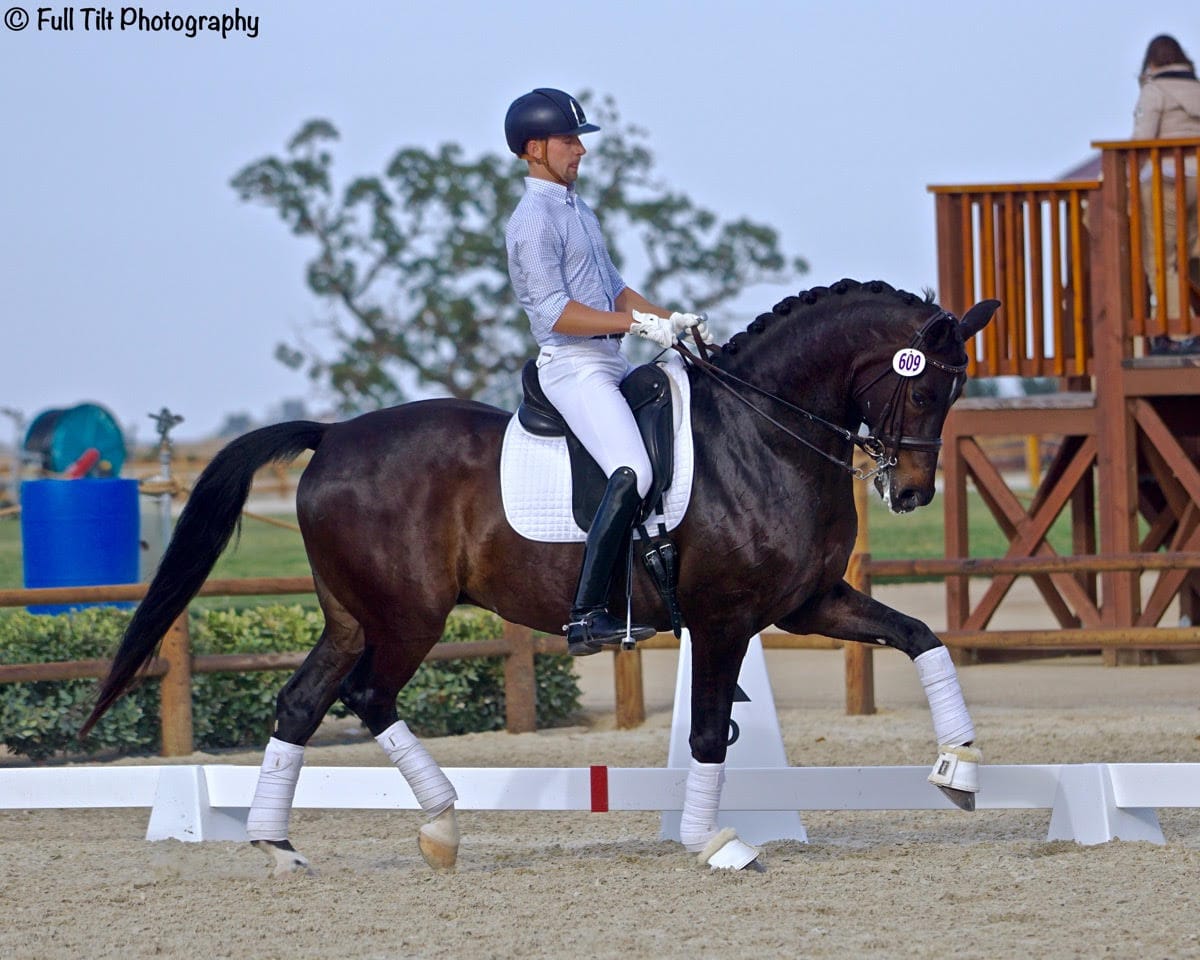 Teaching Your Horse to Stay in Front of Your Leg