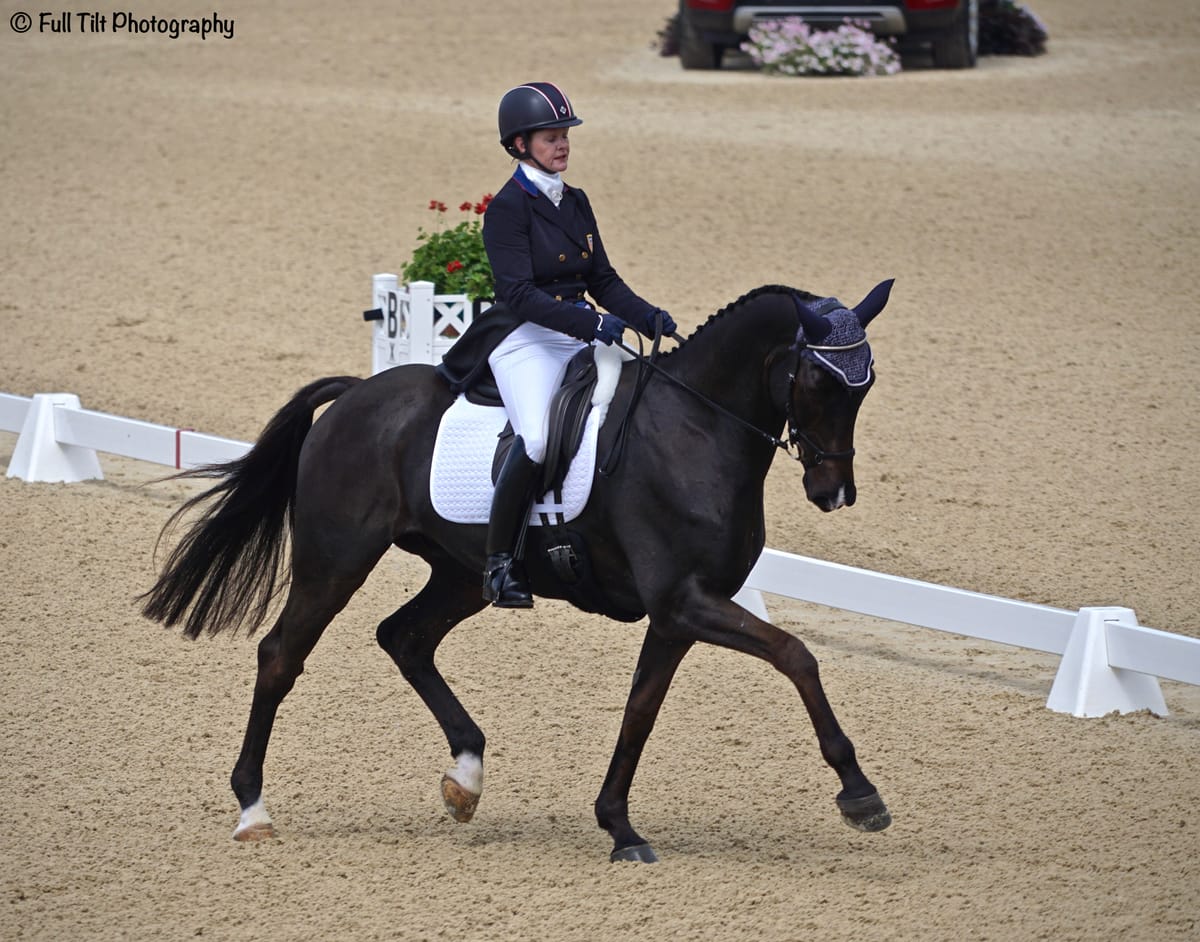 Show CLEAR Transitions in the Dressage Ring