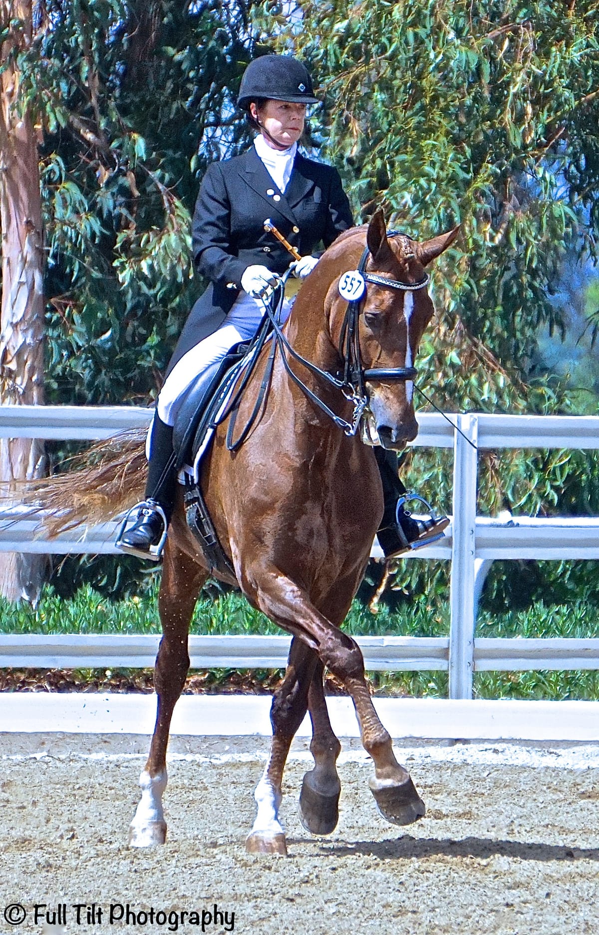 Where a Rider Should Look When Riding the Various Lateral Movements