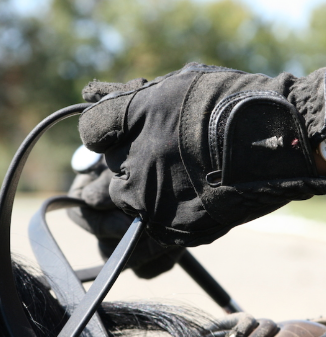 Develop an Independent *Hand* - an Essential Skill That is Key to a Good Rein Connection!