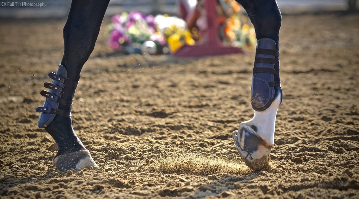 Horses That "Hop" When Going From Walk to Trot