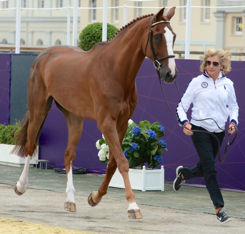 Getting Through the Trot Up At a Three Day Event