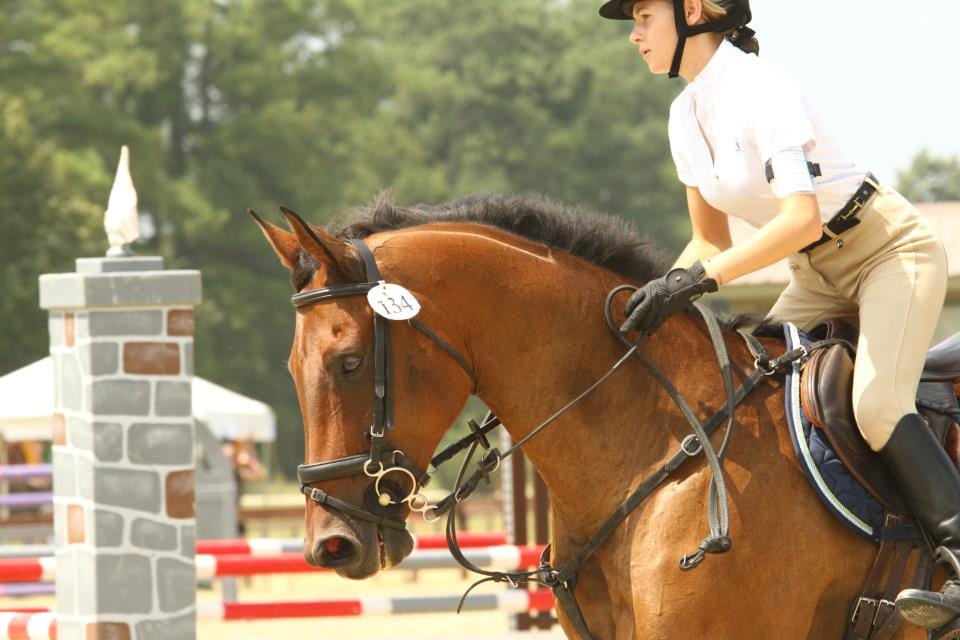 The Horse/Rider Relationship - Respect Vs Trust
