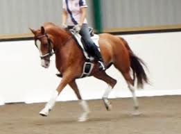 Leg Movers VS Back Movers   (Current Freebie!)