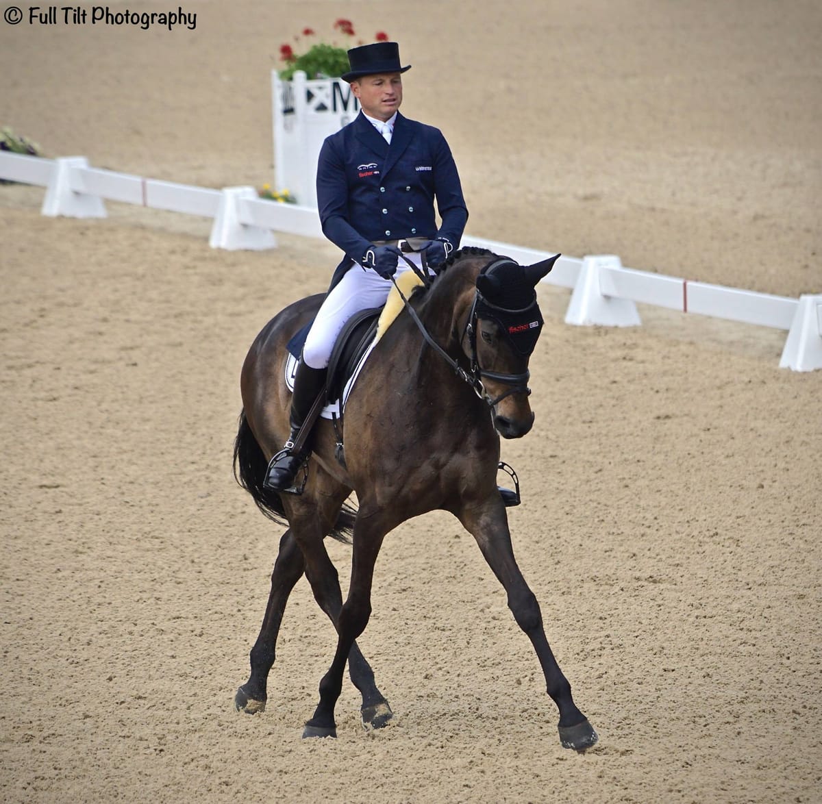 Adding More *Scope* to Your Lateral Work - For Better Dressage Scores!