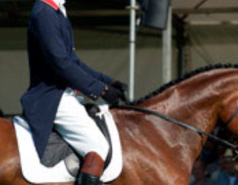 Are You Riding With Your Reins at the Right Length?