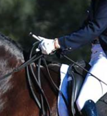 Keep Your Aids Dynamic