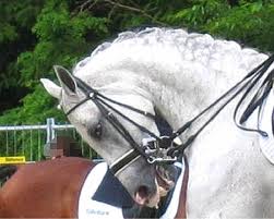 Stretching the Horse