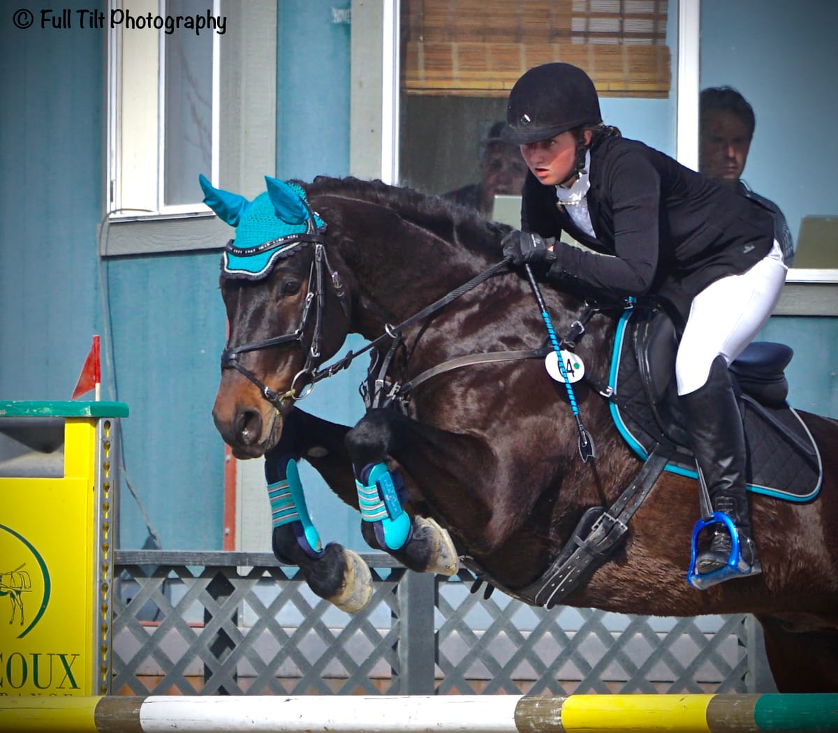 A Tool to Sharpen Your Horse's Jumping Form and Focus (For Horses & Riders of All Levels!)