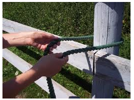 An Exercise to Show You How to Control Your Strong Horse Without Pulling