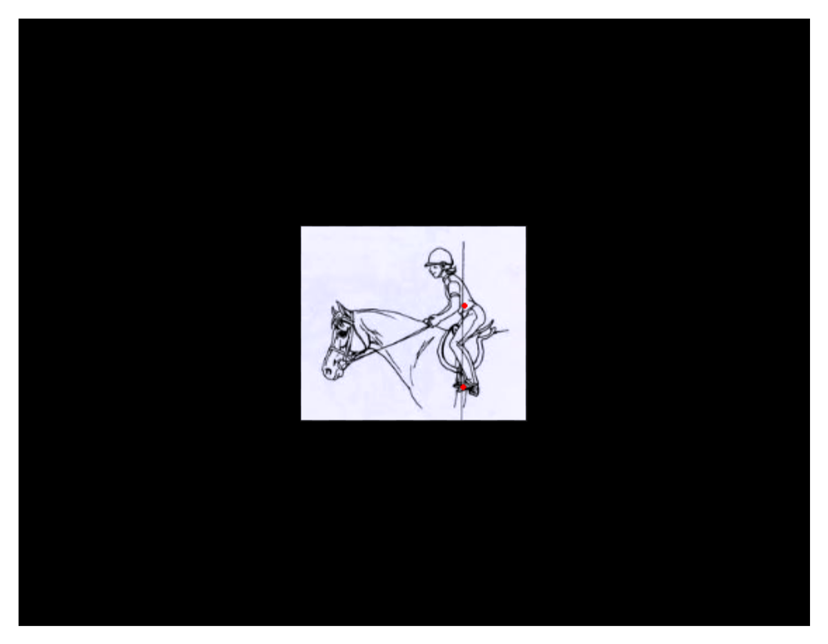 Rider Balance Equals Safety    (Current freebie!)