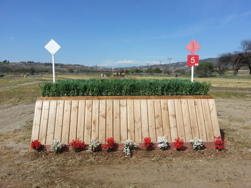 How to Ride a Galloping Jump      (Current Freebie!)