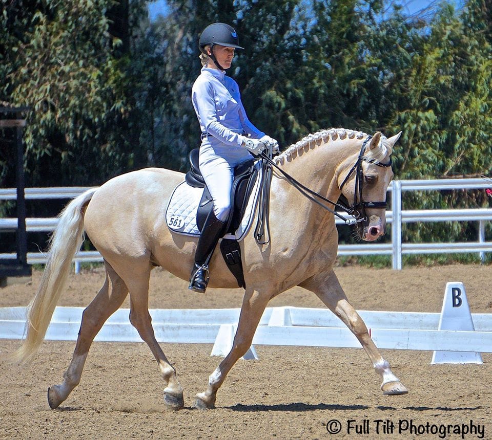 An Exercise to Help Your Horse With Trot Lengthenings