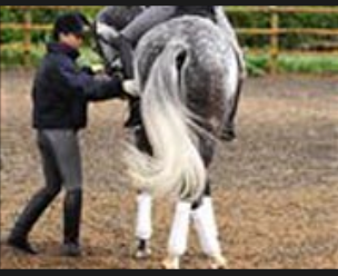 My All Time Favorite Suppling Exercise!