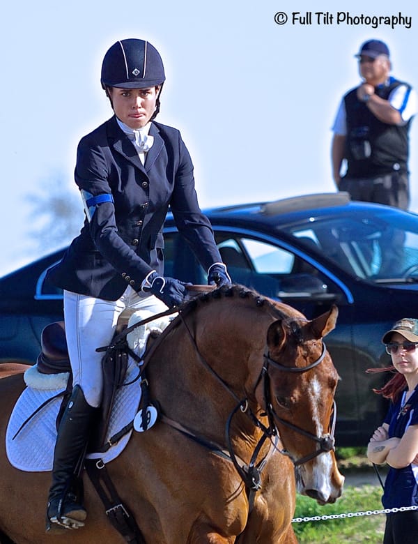 Teach Your Horse to Better Follow Your Eye When Jumping
