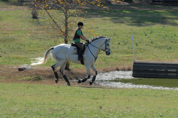 Training and Conditioning the Young Event Horse