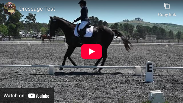 Video # 325: This is Bridget doing a Dressage test!