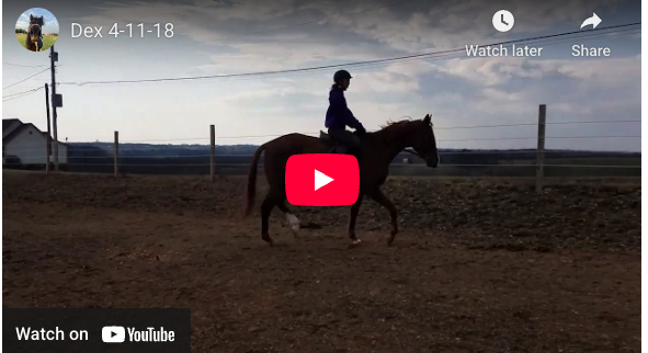 Video # 312 and Question # 331: This is Rachael!