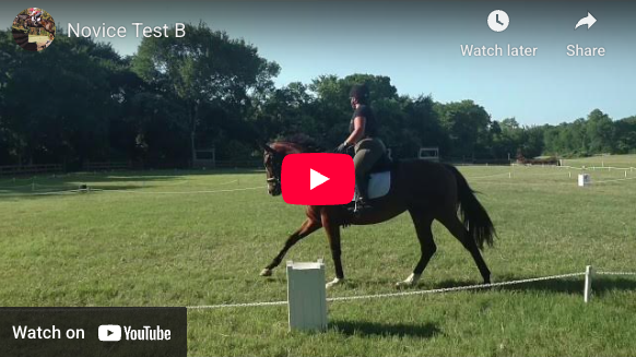 Video # 104: This is Kayla riding Novice level test B