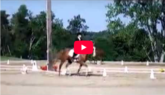 Video # 69: This is Kellyn and her horse Rowan performing Novice Test A!