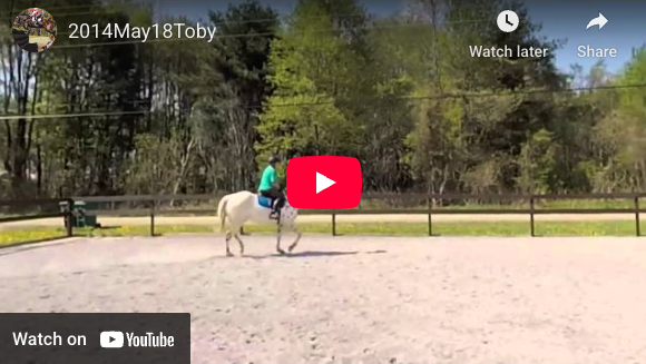 Video # 65: This is Vita and Toby!