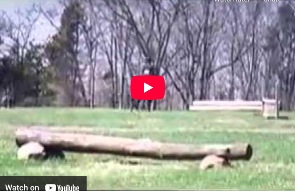 Video # 64: This is Kellyn!