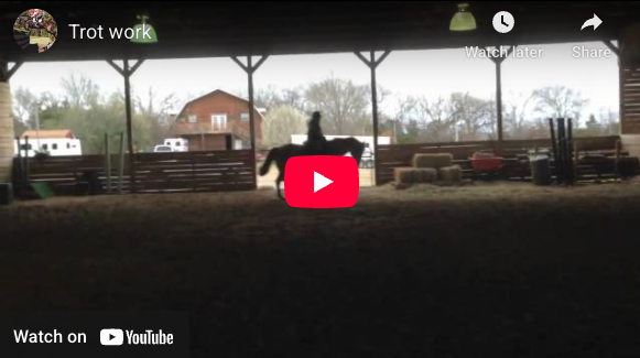 Video # 62, and Question # 191: I asked a Dressage Judge to score my horse's trot. She gave him a 6.5-7 at best. When I asked what we should try differently (this is a trainer/judge who knows both me and my horse) to get an 8, she said...