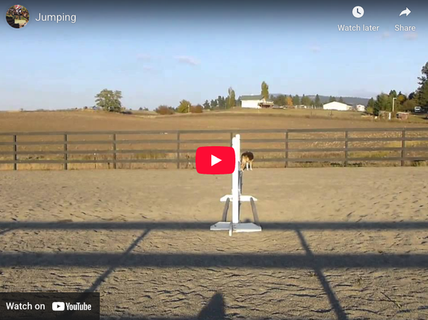 Video # 52: This is Rachelle!