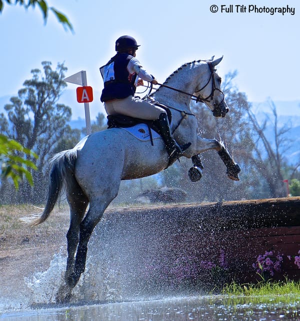 Everything You Need to Know About Jumping Up a Bank