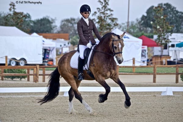 Dressage Canter Adjustability Exercise # 2