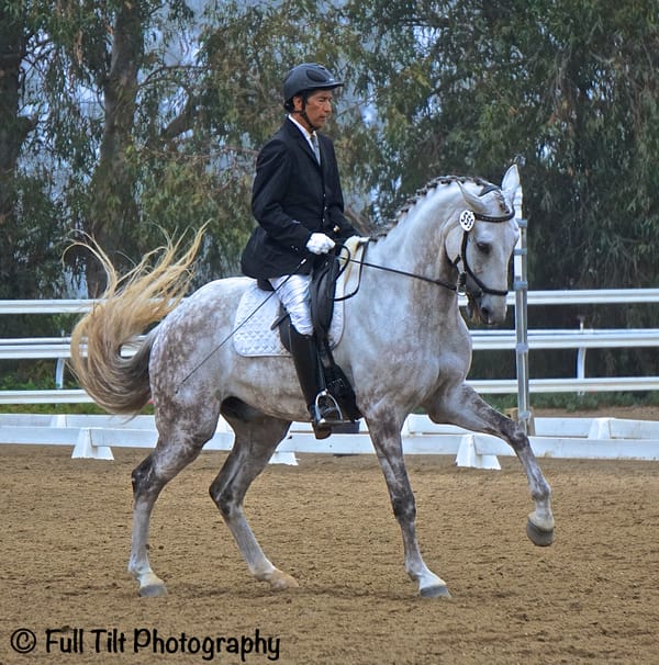 Introducing the Counter Canter