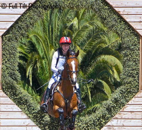 Care of the Horse After Cross Country