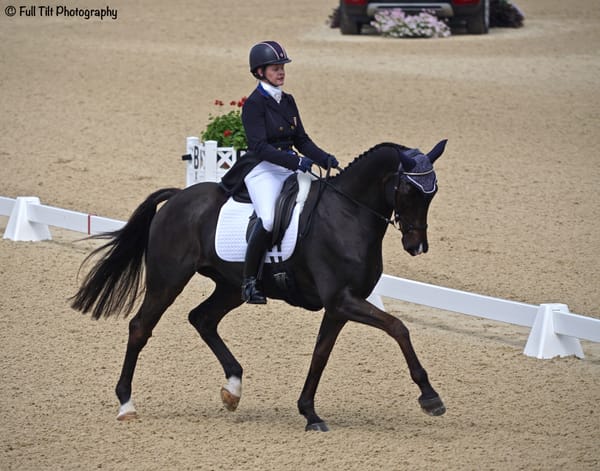 Show CLEAR Transitions in the Dressage Ring