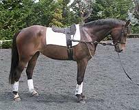 Develop an Independent Seat