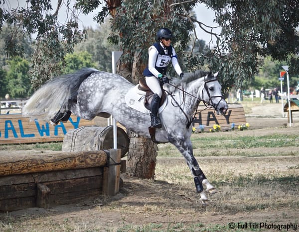 Do You Know What Skills You and Your Horse Need to Have Before Entering a Novice Level Event?