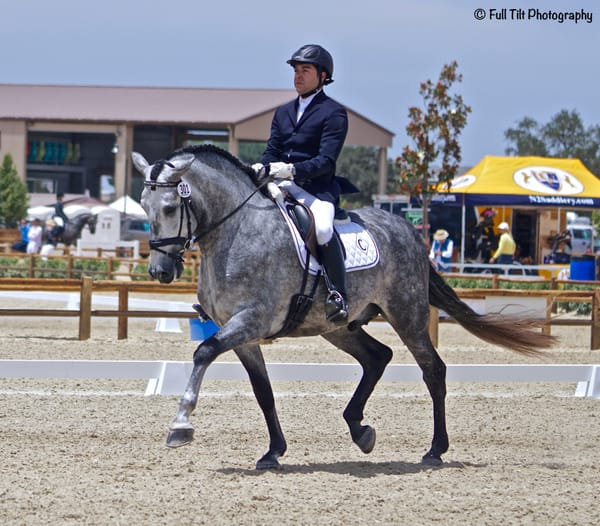An Exercise to Rev Your Horse's Motor - Building Impulsion & Hind Leg Engagement
