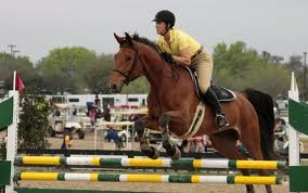 How to Get Your Horse to Spend More Time in the Air Over Jumps