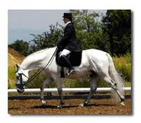 Improving Your Score in the Free Walk